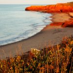 Canadian national parks