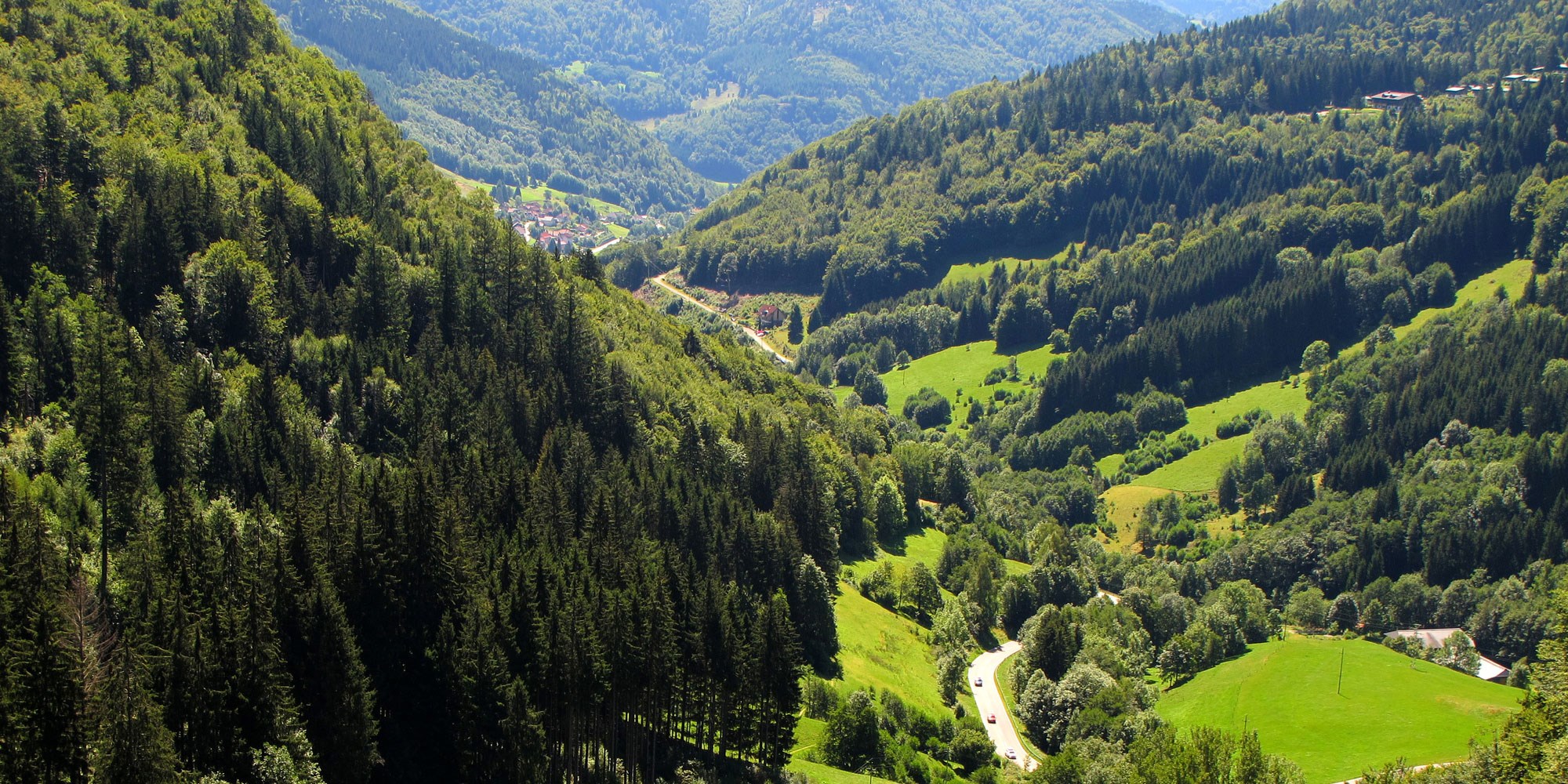 The Black Forest Germany >> Germany S Enchanting Black Forest Not A Cake Tipntrips The Black Forest Germany >> Germany S Enchanting Black Forest Not A Cake Tipntrips