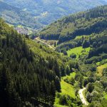 Germany’s enchanting black forest, not a cake