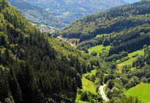 Germany’s enchanting black forest, not a cake