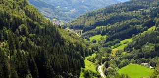 Germany’s enchanting black forest, not a cake