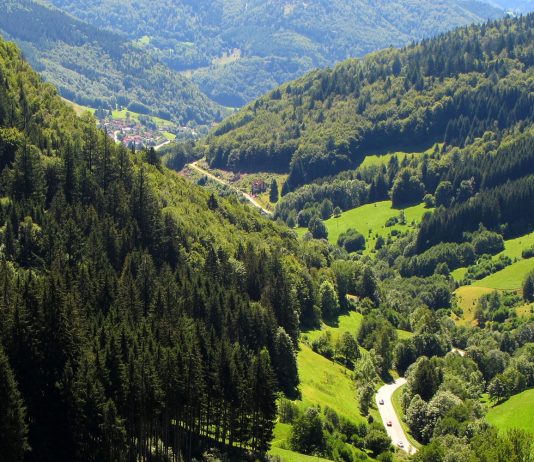 Germany’s enchanting black forest, not a cake
