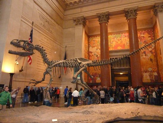 The American Museum of Natural History – New York City