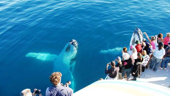 Australia’s Fraser Island, sand, waters and forests brought together