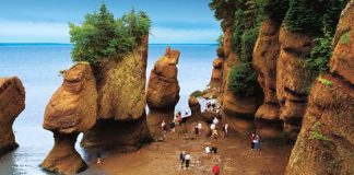 Canada’s Bay of Fundy, the joy of walking on the ocean’s floor