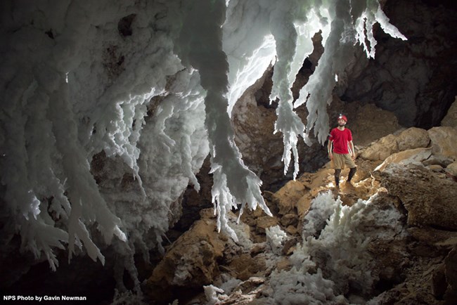 Carlsbad Caverns National Park