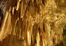 Carlsbad Caverns National Park