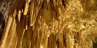 Carlsbad Caverns National Park