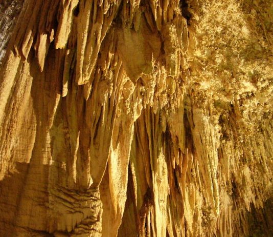 Carlsbad Caverns National Park