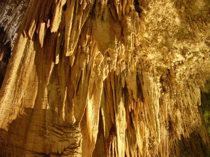 Carlsbad Caverns National Park