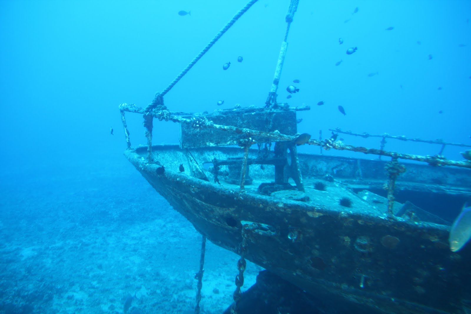 Solomon Islands