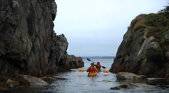 Terra Nova National Park, Newfoundland and Labrador