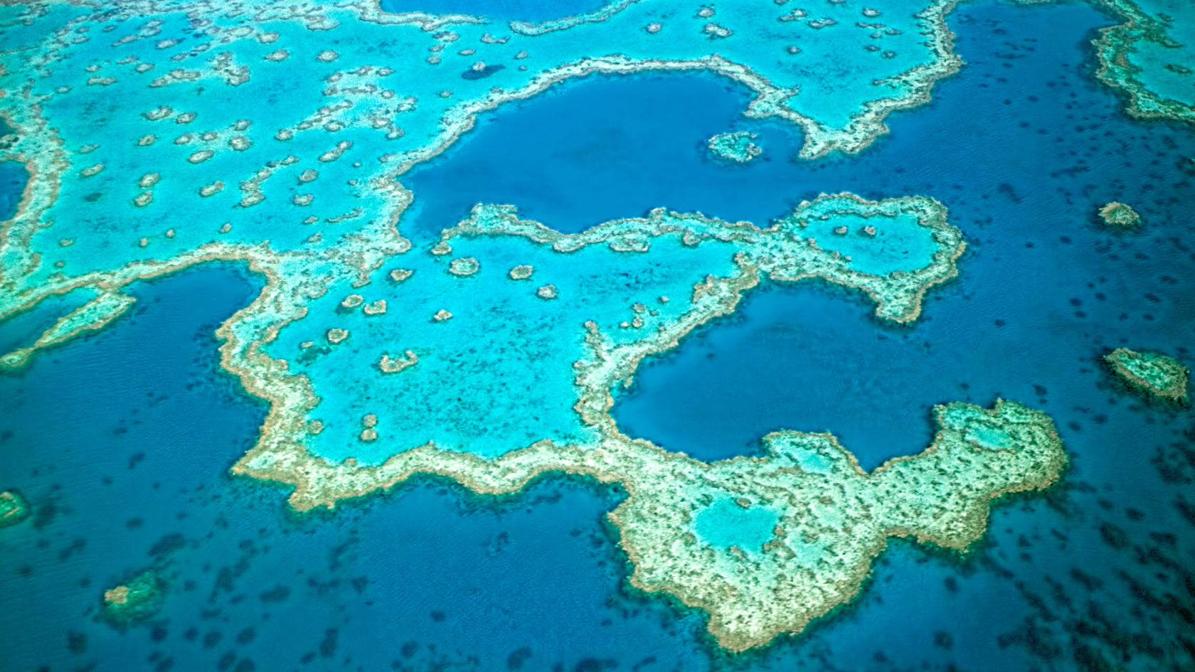 The Great Barrier Reef