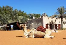 The Heritage village in Abu Dhabi