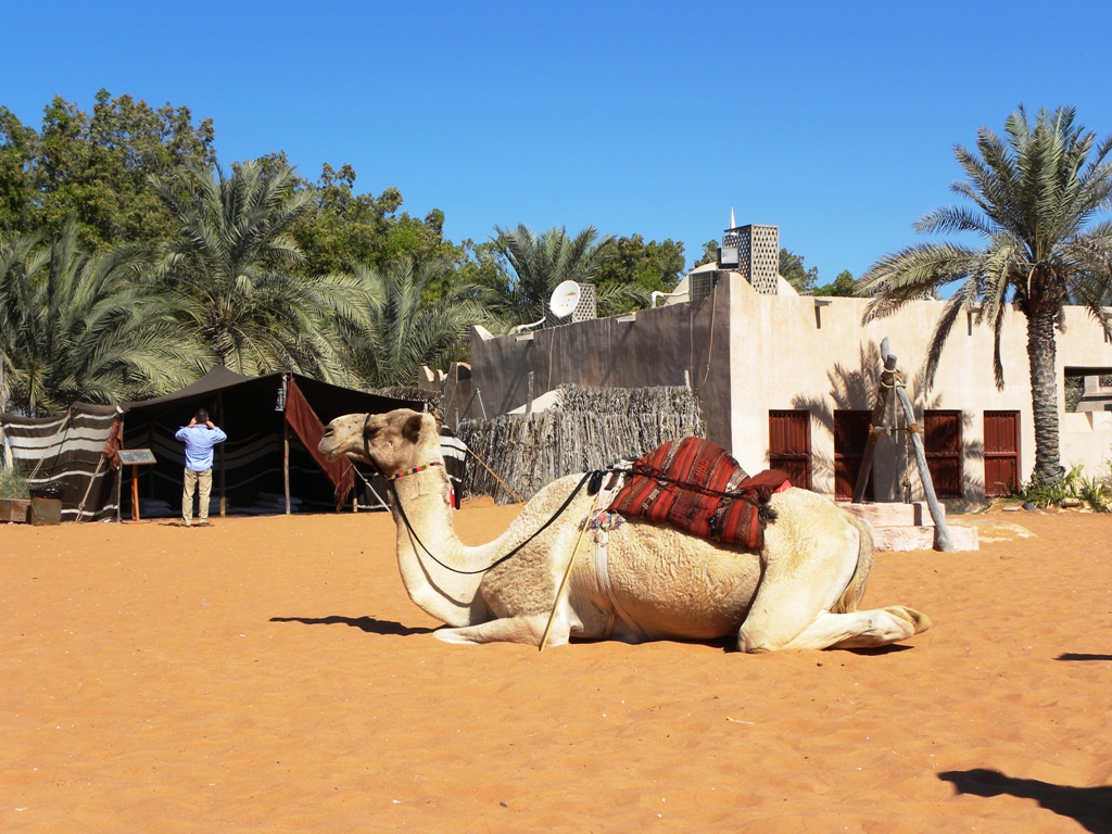 The Heritage village in Abu Dhabi, the throwback - tipntrips
