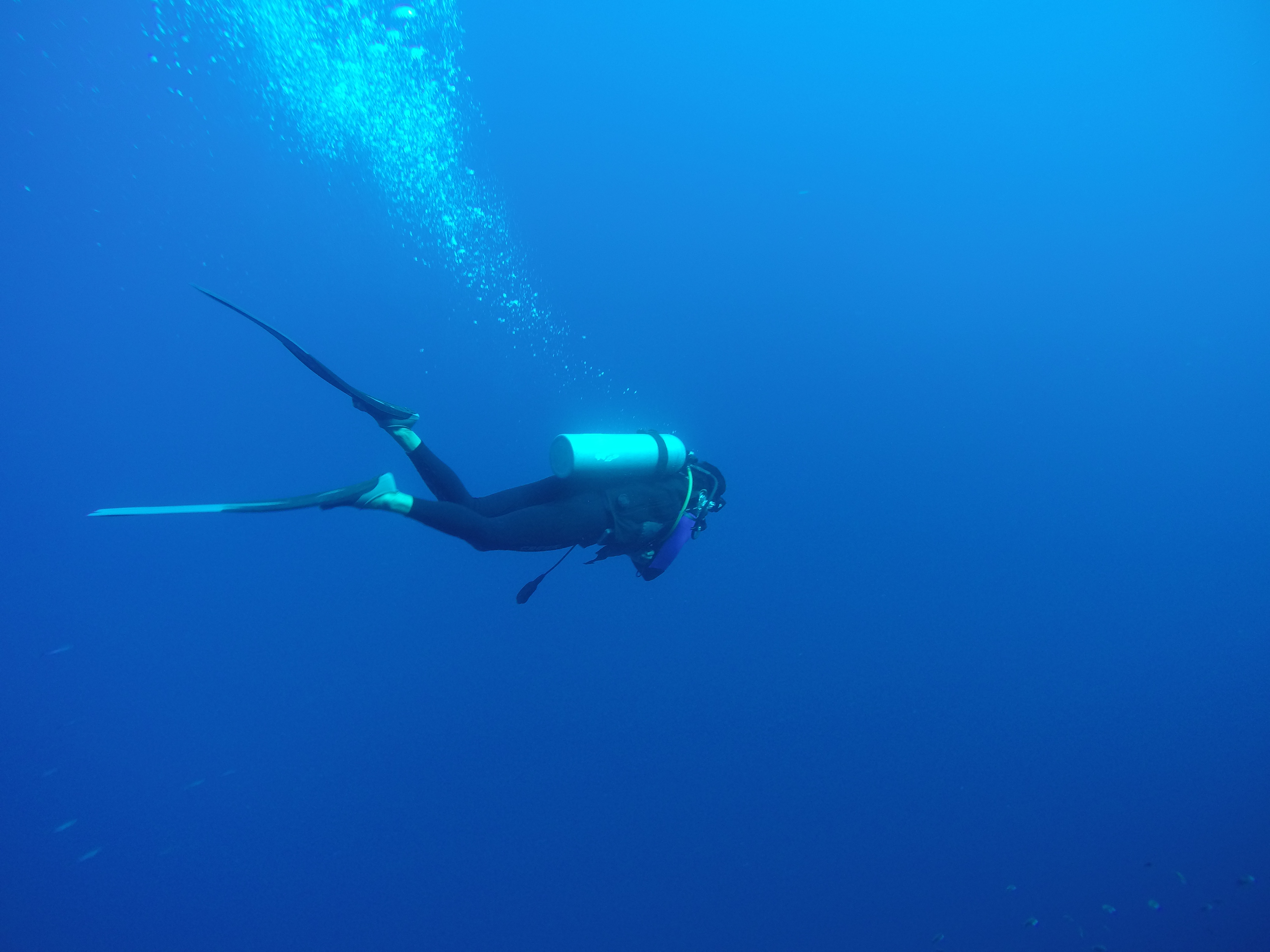 blue holde diving