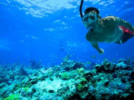 Tips for first time snorkelers