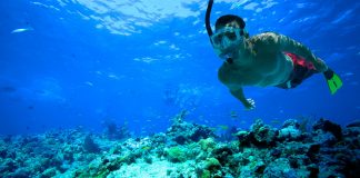 Tips for first time snorkelers