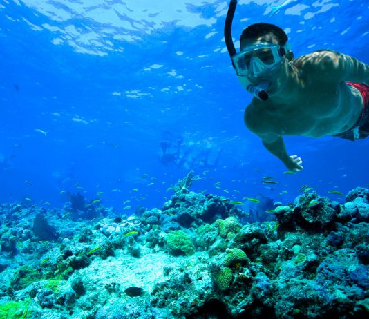 Tips for first time snorkelers