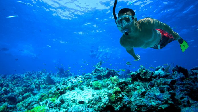 Tips for first time snorkelers